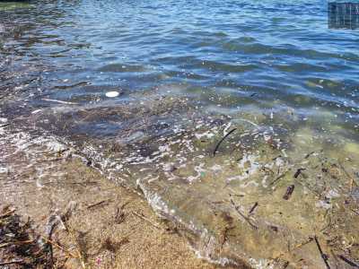 �Queste formazioni per�, quando entrano in contatto con plastiche, tensioattivi artificiali come detersivi o emulsionanti o acqua fognaria, diventano molto pi� compatte e invasive. Si trasformano infatti in aggregatori di materiali e sostanze indesiderate�, spiega il biologo marino Michele De Giosa